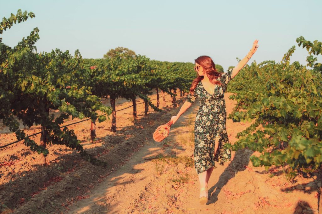 Paso Robles Travel guide